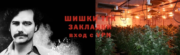 шишки Ладушкин