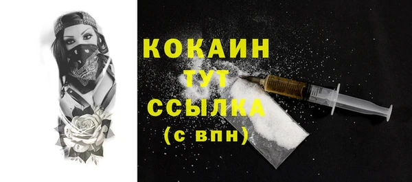 винт Лабытнанги