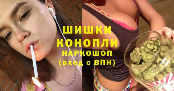 бошки Лагань