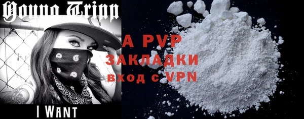 винт Лабытнанги