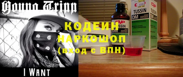 шишки Ладушкин