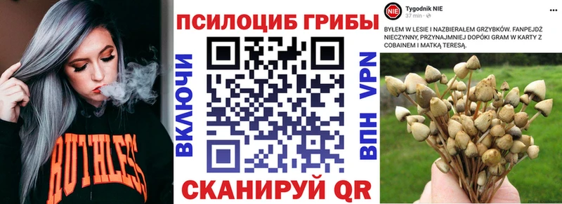 магазин  наркотиков  Брюховецкая  сайты даркнета состав  Галлюциногенные грибы Magic Shrooms 